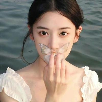 追星星的人